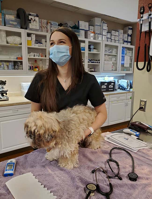 vet tech with a dog on the table in Hobbs, NM | Double J Animal Hospital